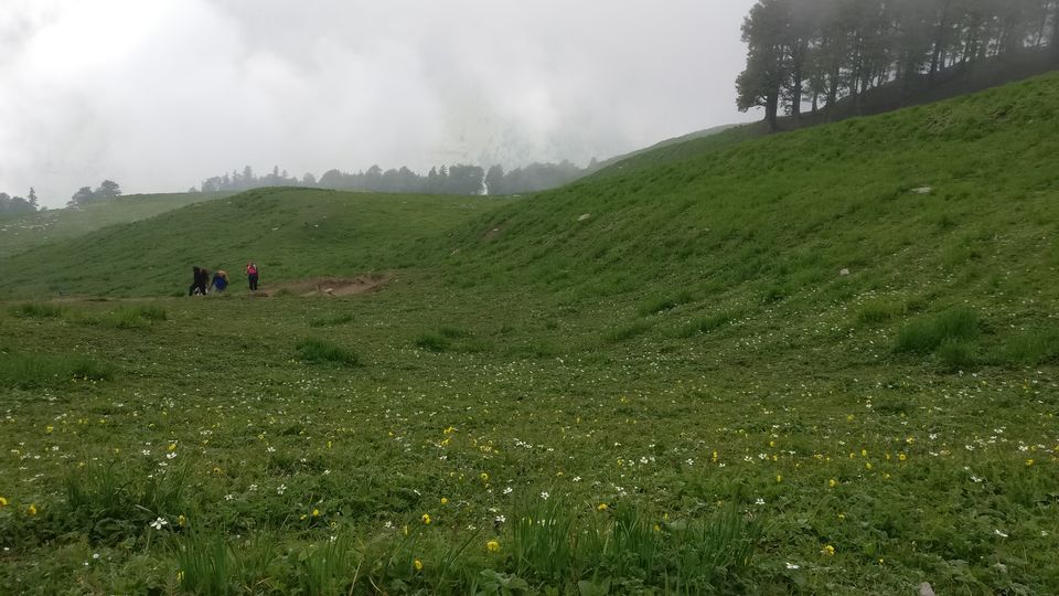 Photo of Manali, Himachal Pradesh, India by Sweta