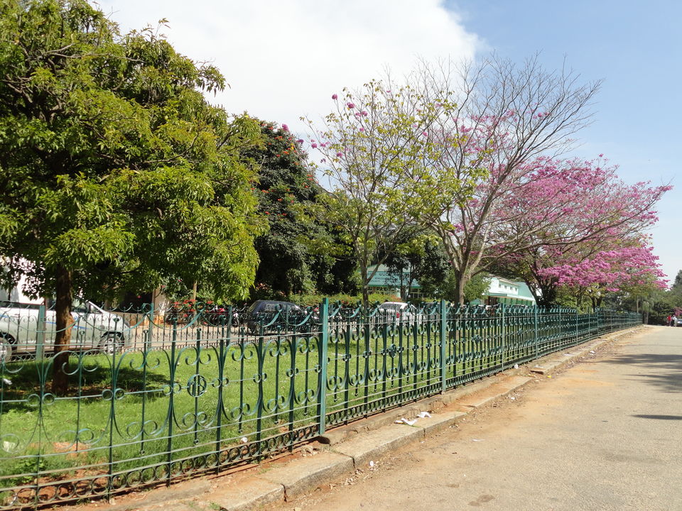 Photo of Lalbagh Botanical Garden, Lal Bagh Road, Mavalli, Bangalore, Karnataka, India by Subhraleena Deka