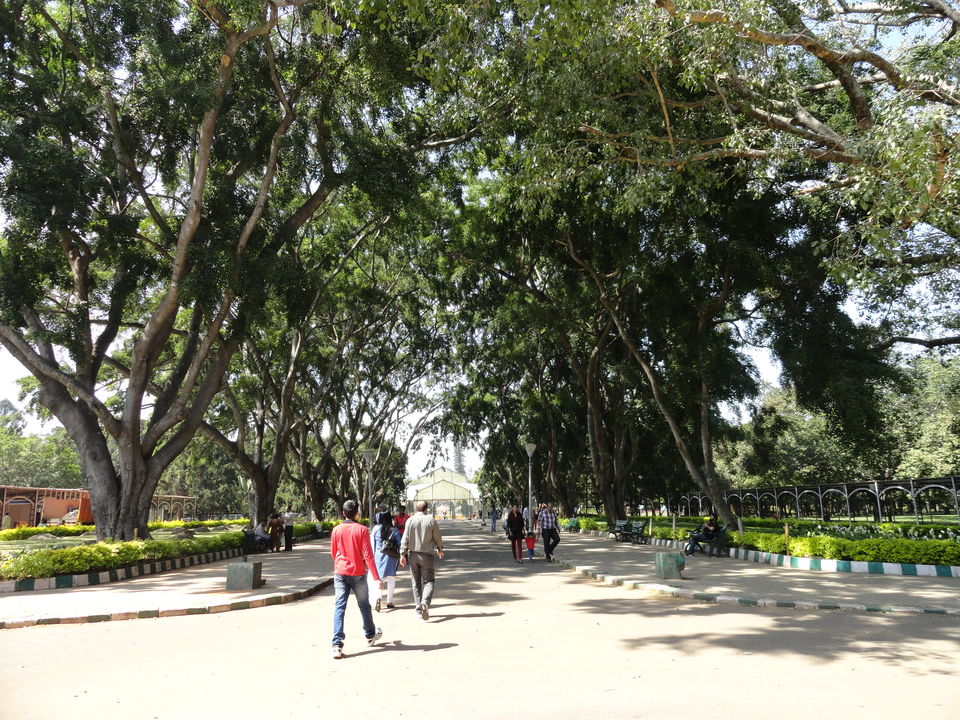 Photo of Lalbagh Botanical Garden, Lal Bagh Road, Mavalli, Bangalore, Karnataka, India by Subhraleena Deka