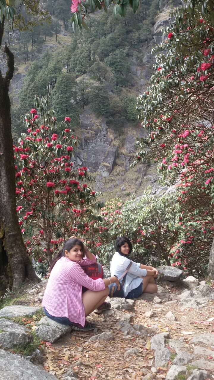 Photo of Because no Adventure is too much!- a trip to triund and bir by kriti