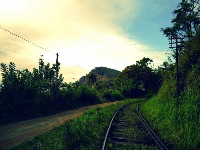 Photo of The Ella Hike Story - Sri Lanka 5/9 by Sakie Ariyawansa