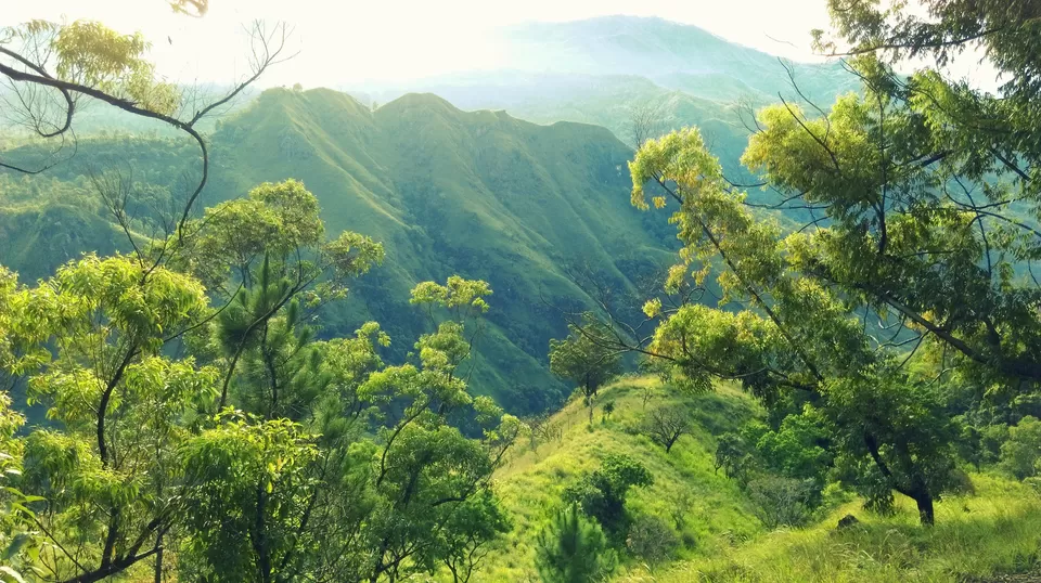 Photo of Ella, Uva Province, Sri Lanka by Sakie Ariyawansa