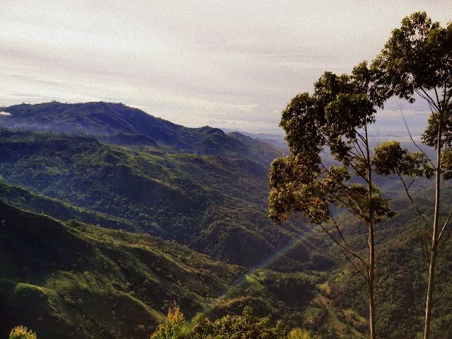 Photo of Ella, Ella, Sri Lanka by Sakie Ariyawansa