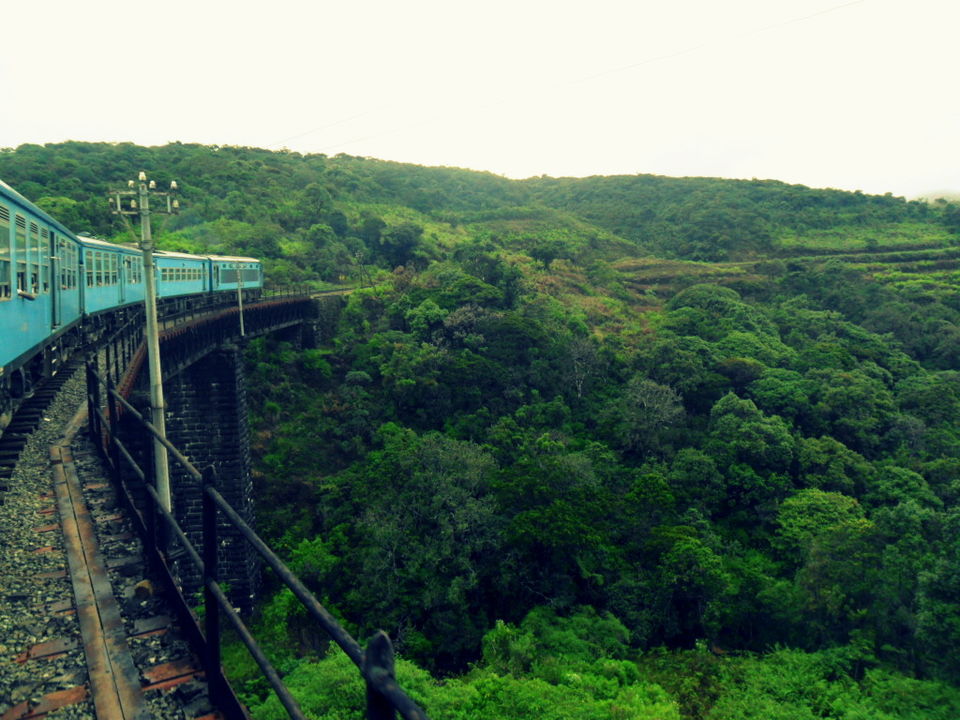 Photo of The Ella Hike Story - Sri Lanka 2/9 by Sakie Ariyawansa