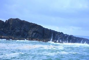 Photo of In the sea with Dolphins - Mirissa, South Sri Lanka by Sakie Ariyawansa