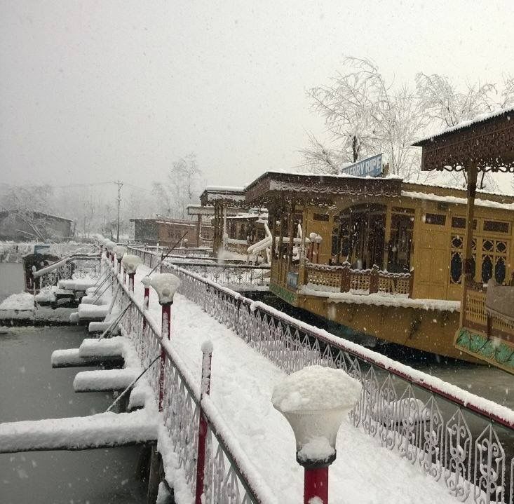 Photo of Dal Lake, Srinagar by Sakie Ariyawansa