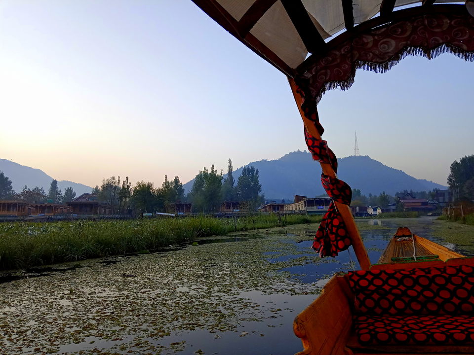 Photo of Dal Lake, Srinagar by Sakie Ariyawansa