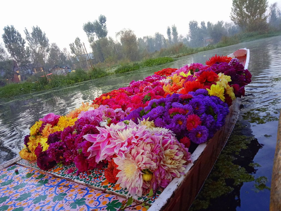 Photo of Dal Lake, Srinagar by Sakie Ariyawansa
