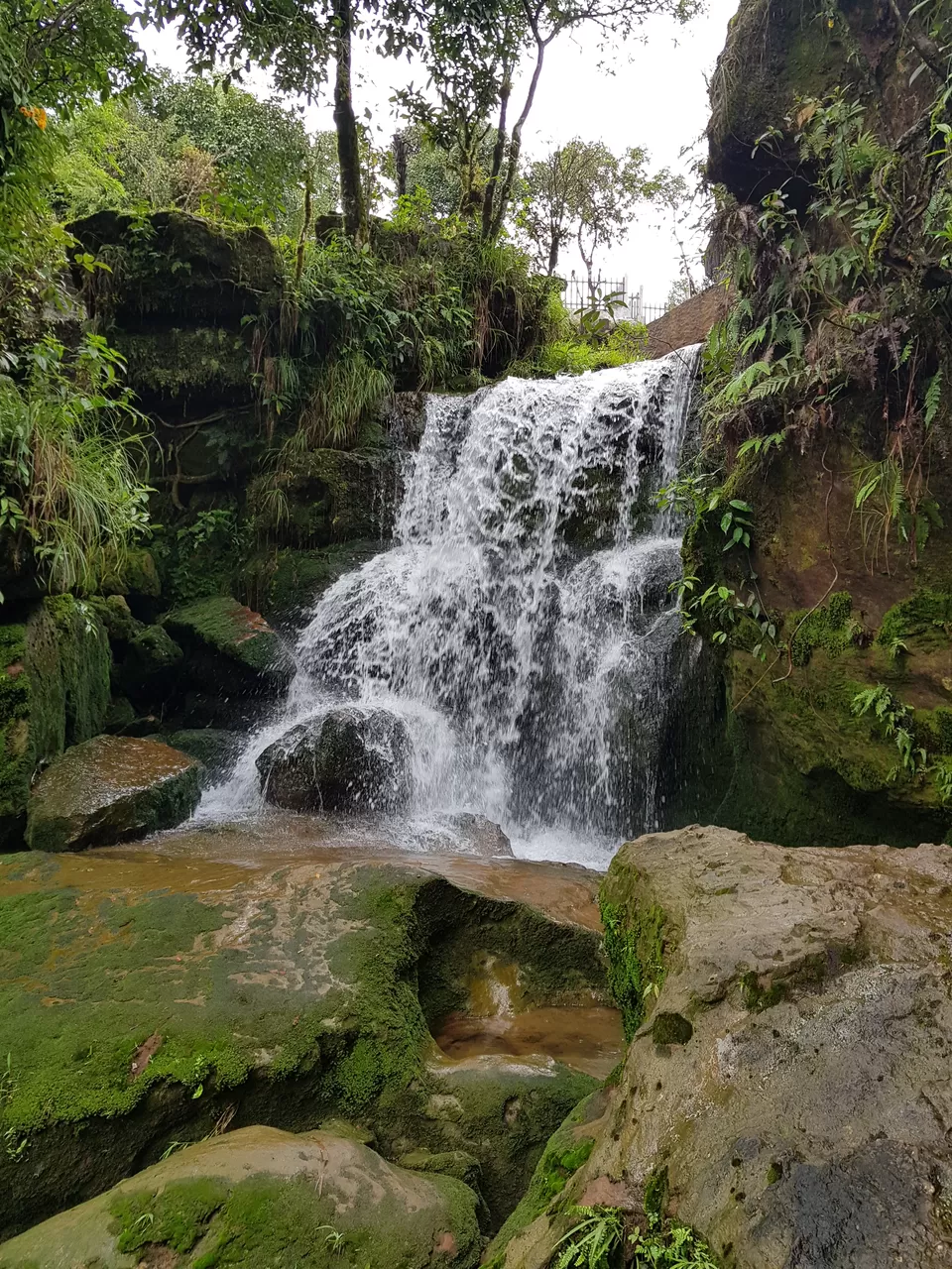 Photo of Garden Of Caves, Laitryngew-War, Laitmawsiang, Meghalaya, India by Prasanth