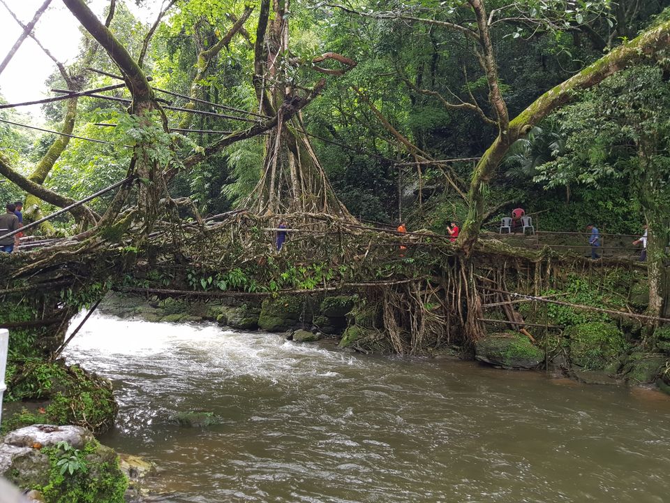 Photo of Mawlynnong, Meghalaya, India by Prasanth