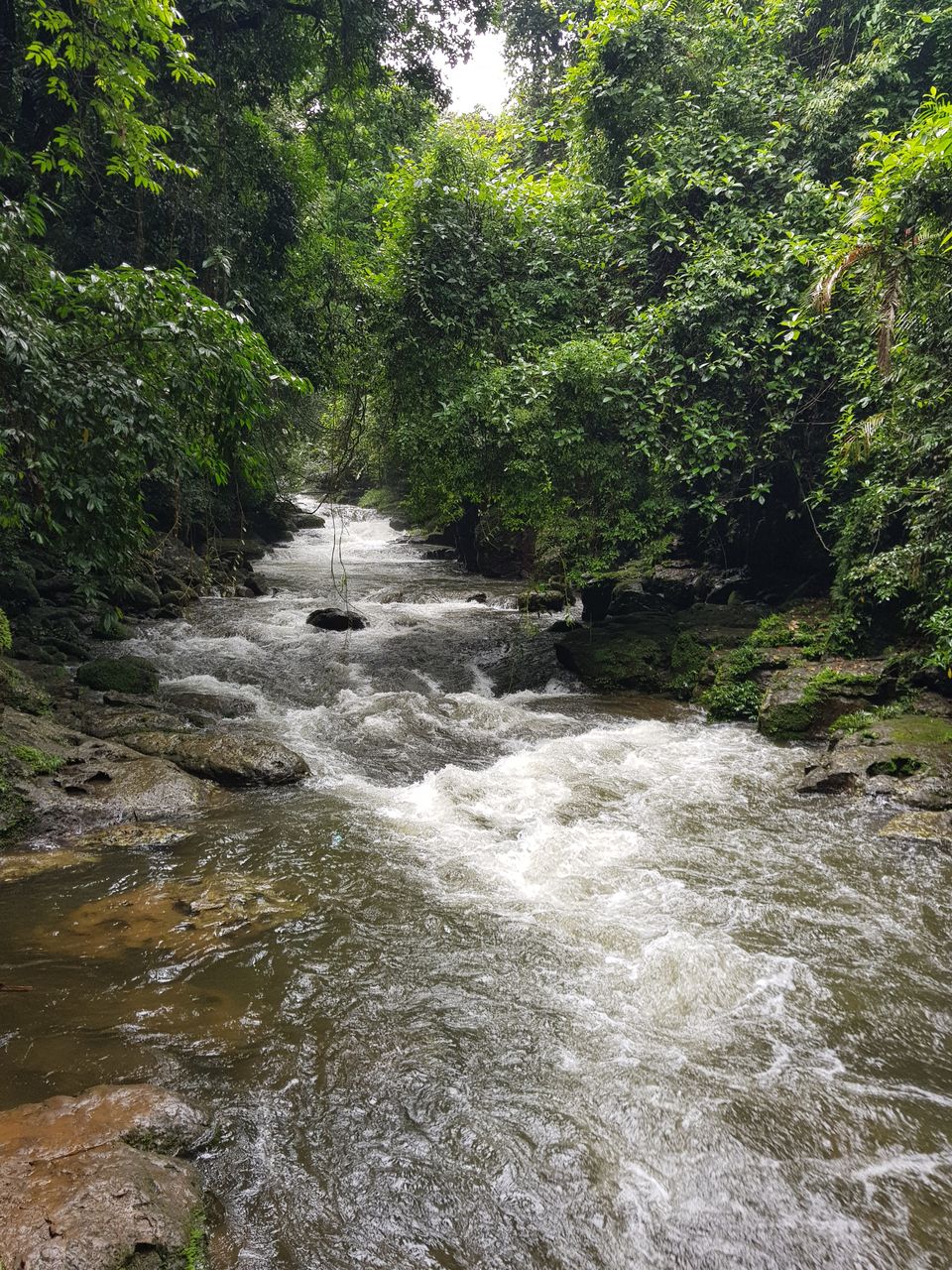 Photo of Mawlynnong, Meghalaya, India by Prasanth