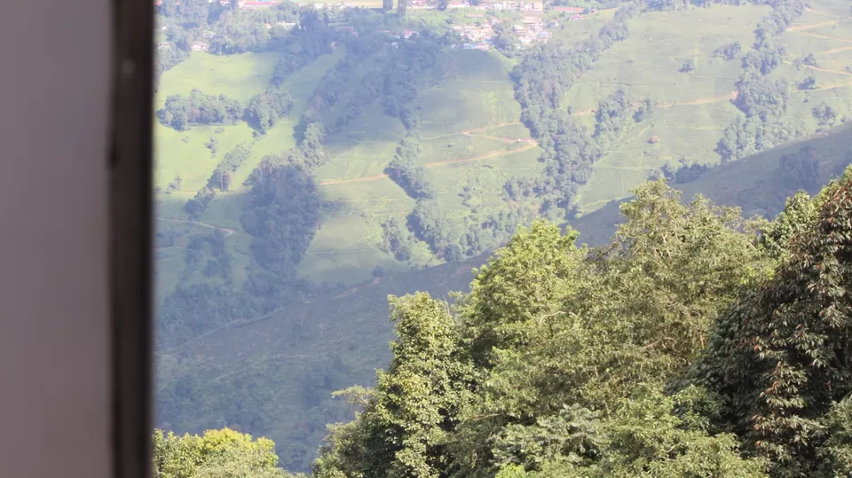 Photo of Darling, Darjeeling!!???????? by Varsha Agarwal