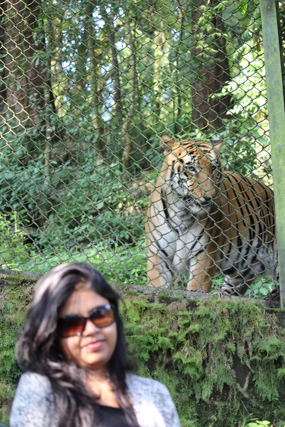 Photo of Darling, Darjeeling!!???????? by Varsha Agarwal