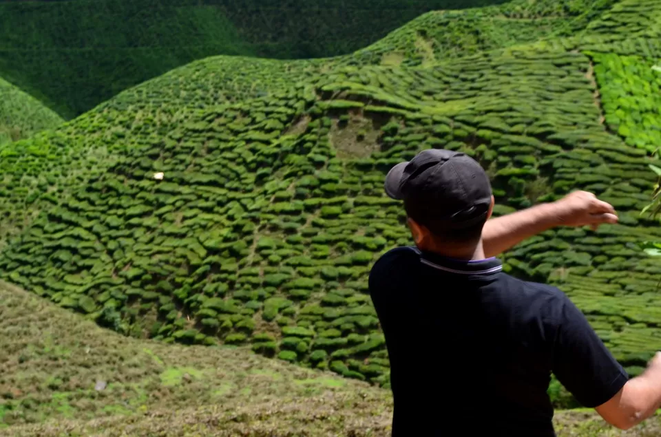 Photo of Cameron Highlands Malaysia by Abhishek Kumar