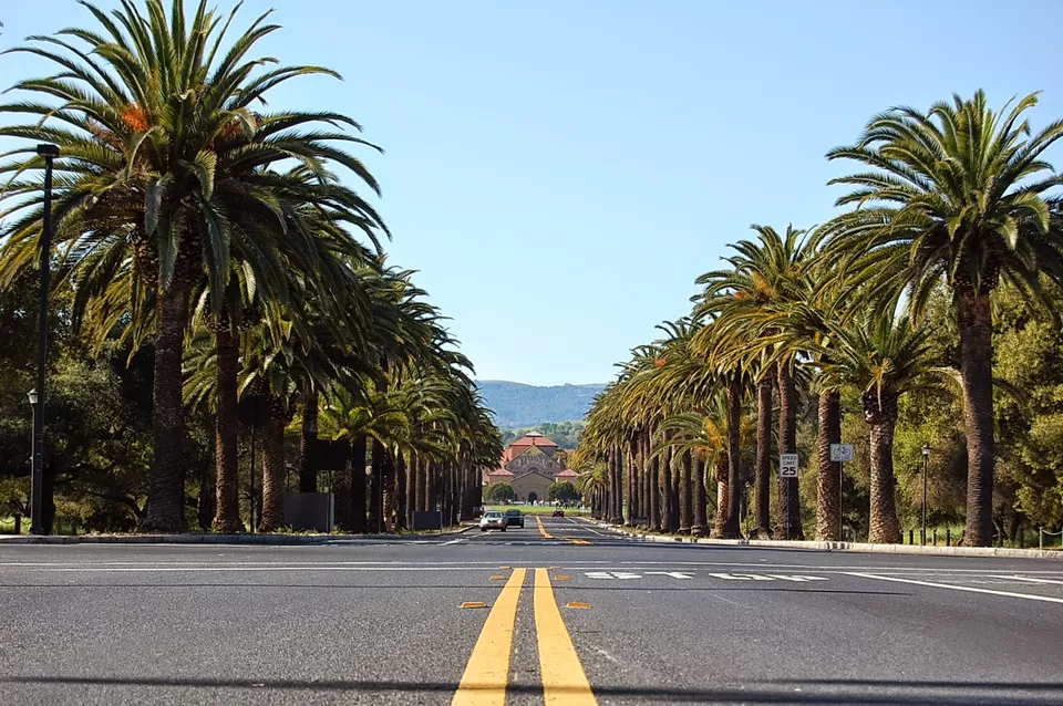 Photo of Palm Drive, Stanford, CA, United States by Abhishek Kumar