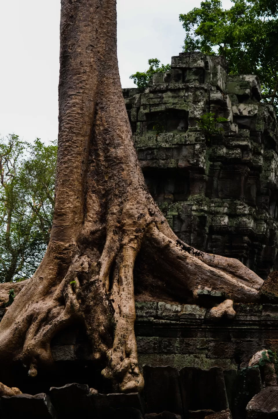 Photo of Ta Prohm, Krong Siem Reap, Siem Reap, Cambodia by Abhishek Kumar
