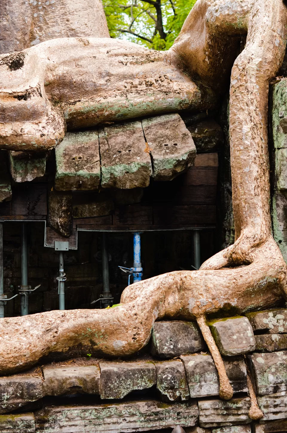 Photo of Ta Prohm, Krong Siem Reap, Siem Reap, Cambodia by Abhishek Kumar