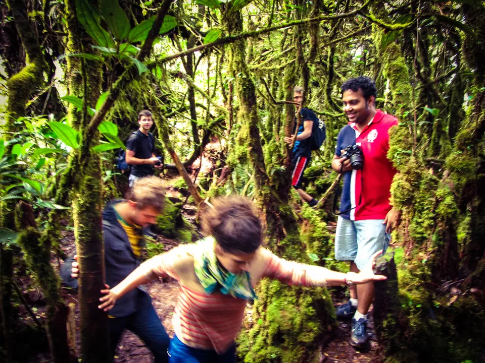 Photo of Brinchang Pahang Malaysia by Abhishek Kumar