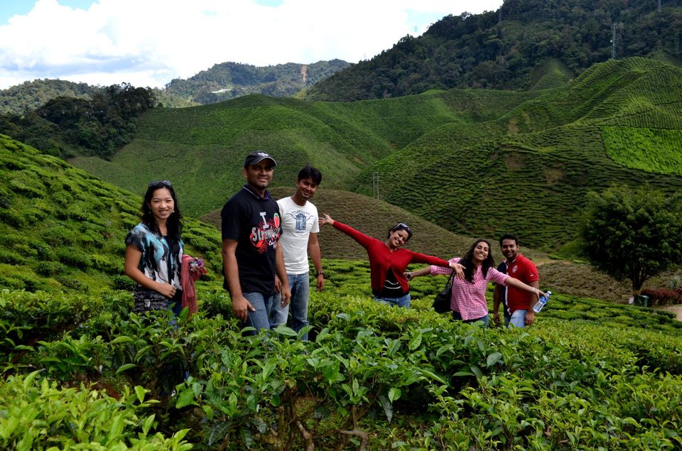 Photo of Cameron Highlands: Malaysia's 'Little England' 13/13 by Abhishek Kumar