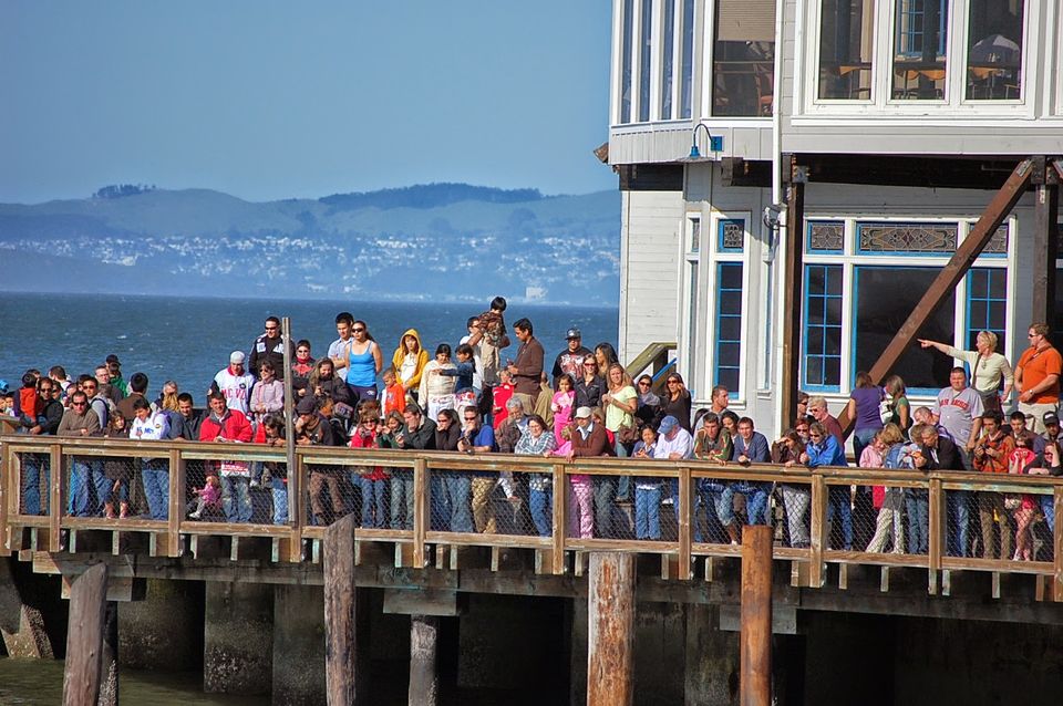 Photo of A Beautiful Life In San Francisco 12/22 by Abhishek Kumar