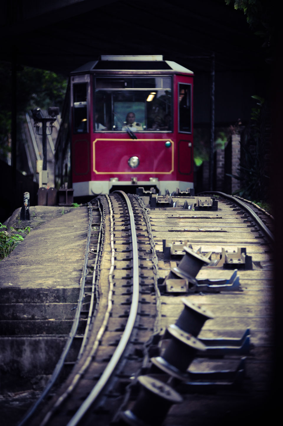 Photo of Bizarre Hong Kong 28/33 by Abhishek Kumar