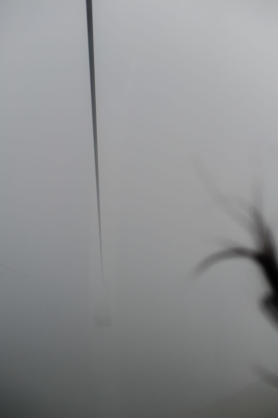 Photo of Bizarre Hong Kong 31/33 by Abhishek Kumar