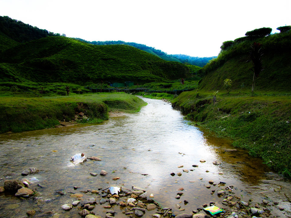 Photo of Cameron Highlands: Malaysia's 'Little England' 5/13 by Abhishek Kumar