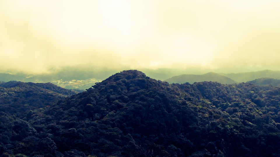 Photo of Cameron Highlands: Malaysia's 'Little England' 8/13 by Abhishek Kumar