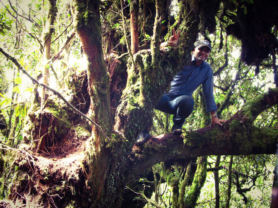 Photo of Cameron Highlands: Malaysia's 'Little England' 10/13 by Abhishek Kumar
