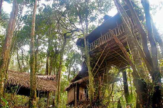 Photo of 4 Exceptional Accommodations to Stay when in Malaysia 2/4 by Allen Krish