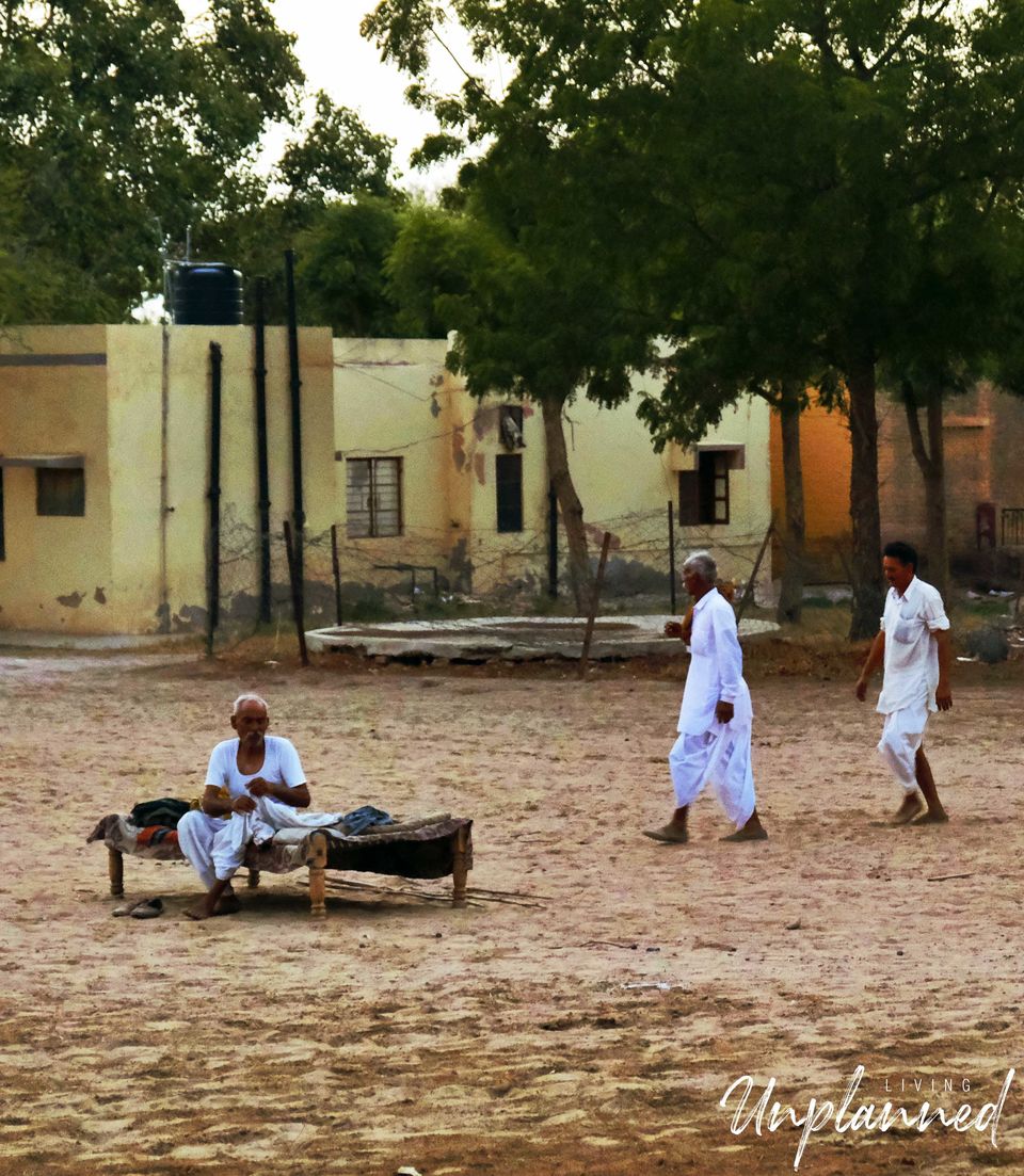 Photo of A Photo Story about the Camels of Bikaner 3/7 by Living Unplanned