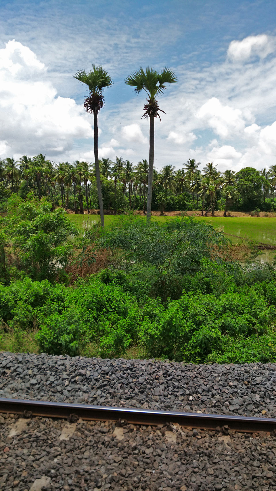 Photo of Thirukkural Express: Train To Kanyakumari (Part 2) 4/6 by Living Unplanned