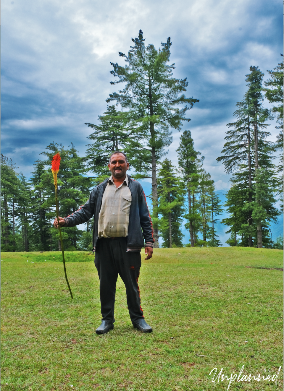 Photo of How to Trek to Prashar Lake 5/10 by Living Unplanned