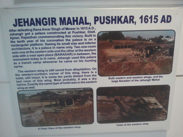 Photo of Toilet Museum-Swachh Bharat since beginning of time/Weird things in Delhi 14/20 by Neha Sakseria