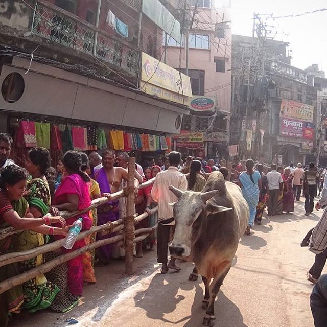 Photo of Shri Kashi Vishwanath Temple, Varanasi, Uttar Pradesh, India by Charu Chowdhary