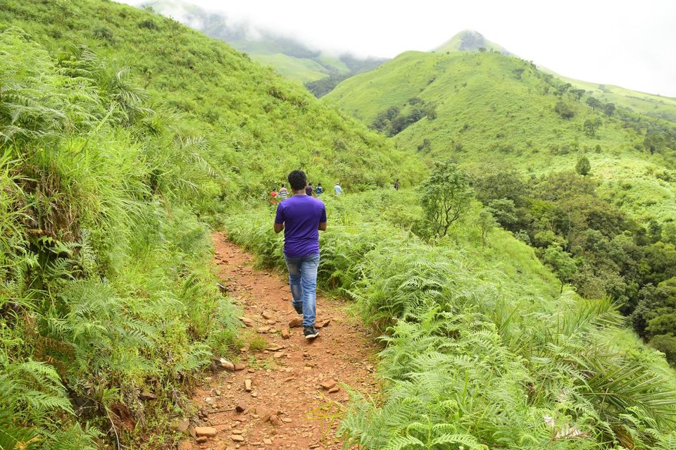 Photo of Trek to KudreMukh Peak 34/69 by Manju Nath