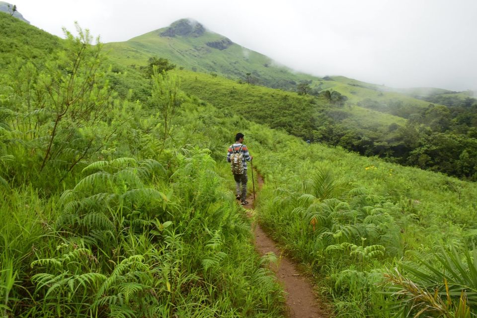 Photo of Trek to KudreMukh Peak 40/69 by Manju Nath