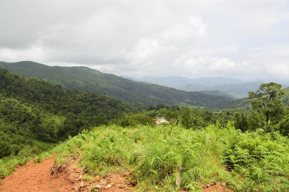 Photo of Trek to KudreMukh Peak 15/69 by Manju Nath