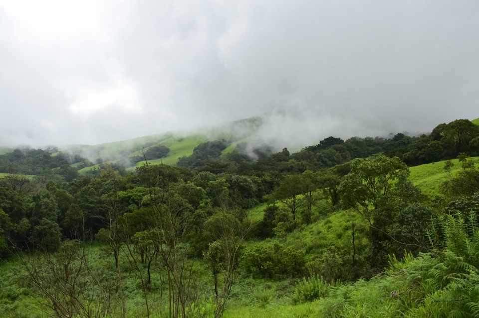 Photo of Trek to KudreMukh Peak 50/69 by Manju Nath
