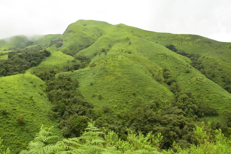 Photo of Trek to KudreMukh Peak 27/69 by Manju Nath