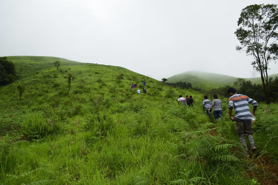 Photo of Trek to KudreMukh Peak 47/69 by Manju Nath