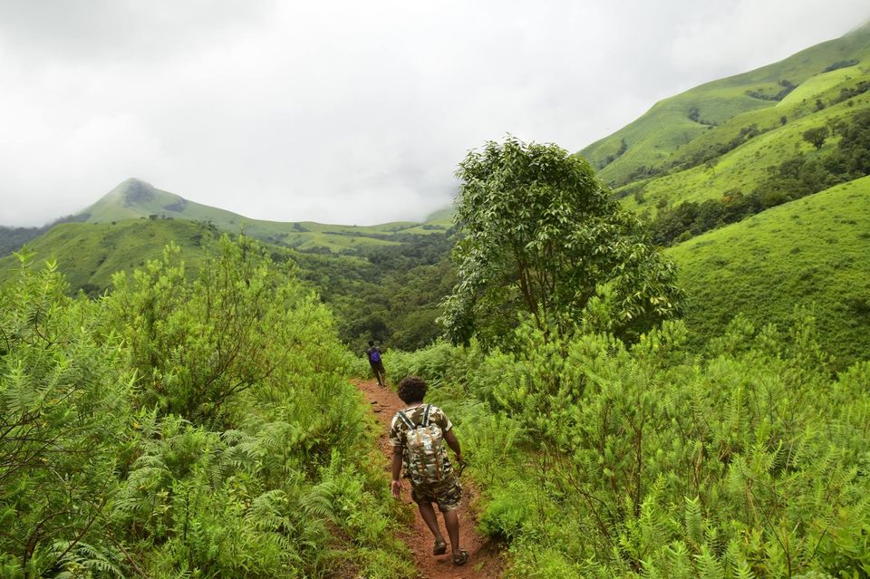 Photo of Trek to KudreMukh Peak 26/69 by Manju Nath