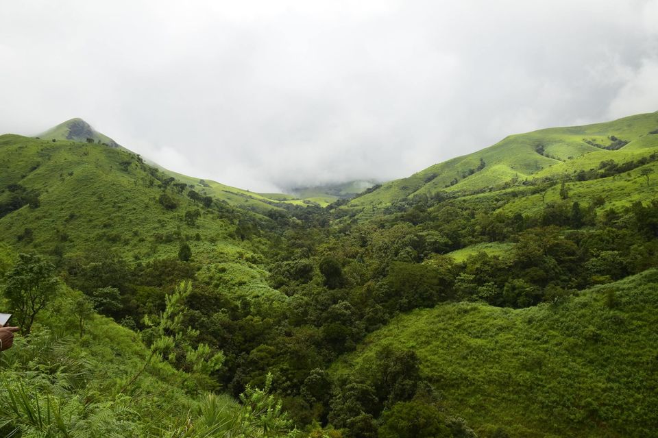 Photo of Trek to KudreMukh Peak 31/69 by Manju Nath