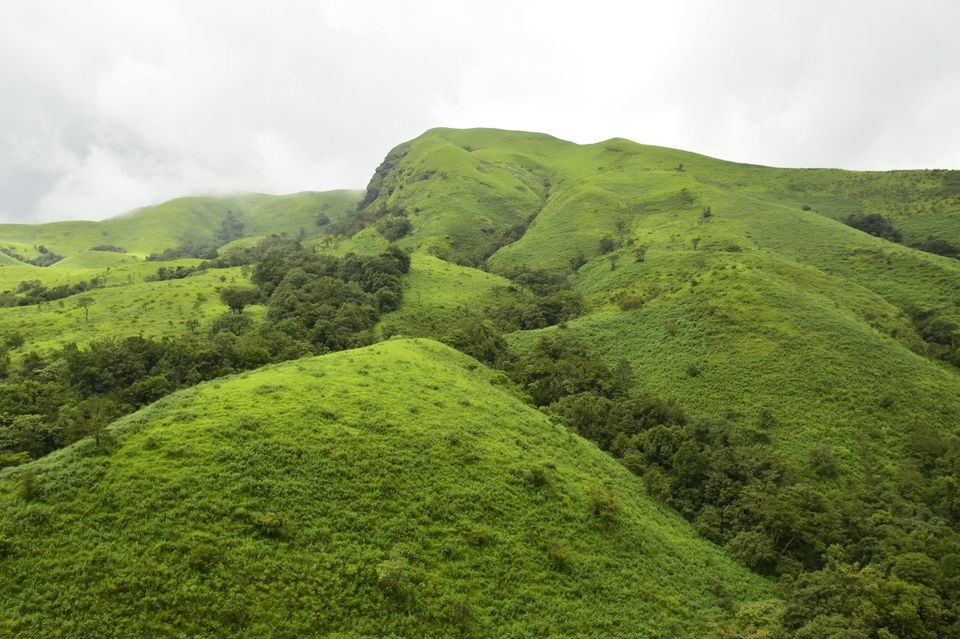Photo of Trek to KudreMukh Peak 33/69 by Manju Nath