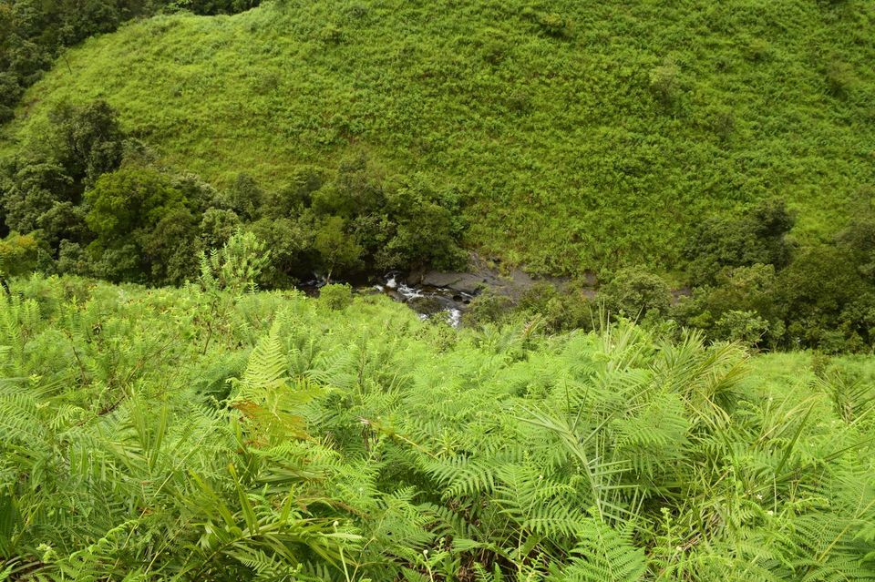 Photo of Trek to KudreMukh Peak 30/69 by Manju Nath