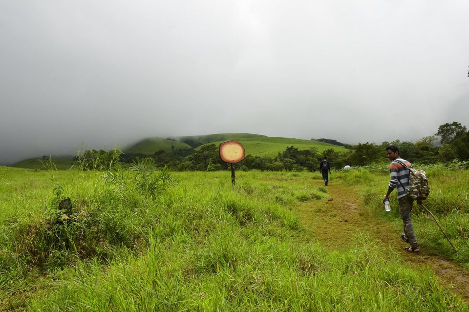 Photo of Trek to KudreMukh Peak 43/69 by Manju Nath
