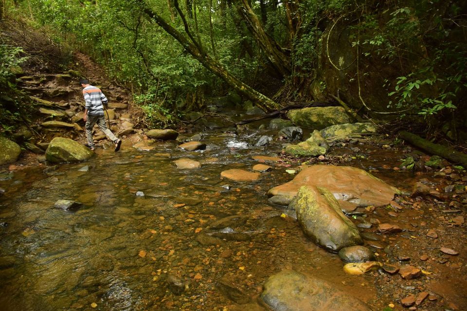 Photo of Trek to KudreMukh Peak 37/69 by Manju Nath