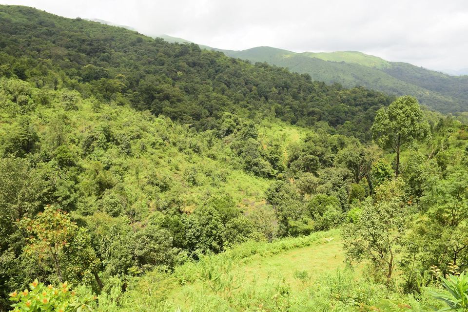 Photo of Trek to KudreMukh Peak 16/69 by Manju Nath