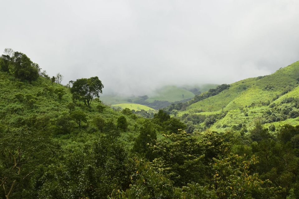 Photo of Trek to KudreMukh Peak 35/69 by Manju Nath
