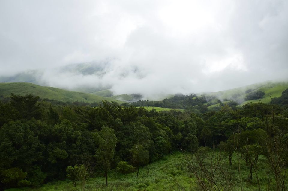 Photo of Trek to KudreMukh Peak 52/69 by Manju Nath